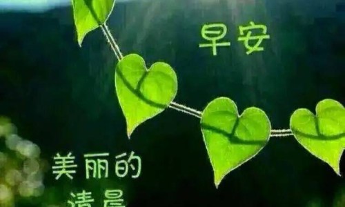 过年去医院是不是不好-权威在医院过年平台,分享专业过年医院还是正常上班么知识_过年期间医院给上环吗网